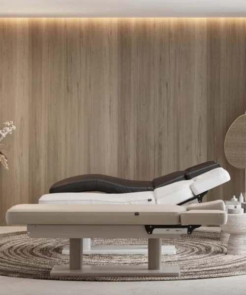 Alternative view of Gemini Evo